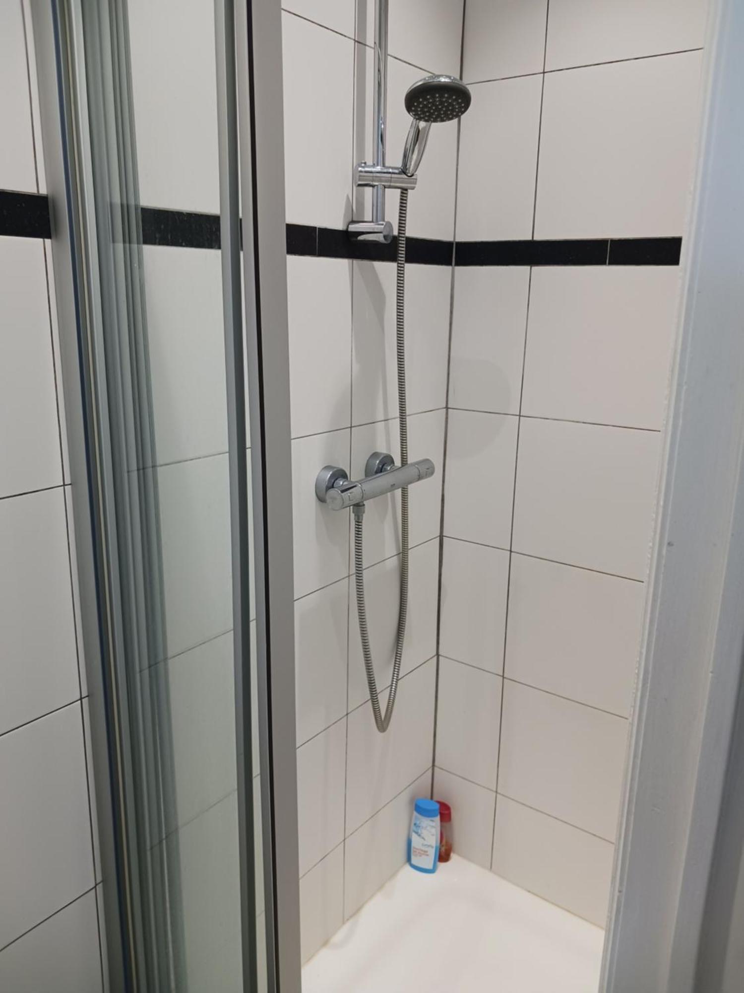 Hert Vlakbij Zee Oostende